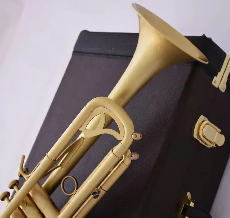 Professional Bb Trumpet Gold Professional Performance Black Protective Case