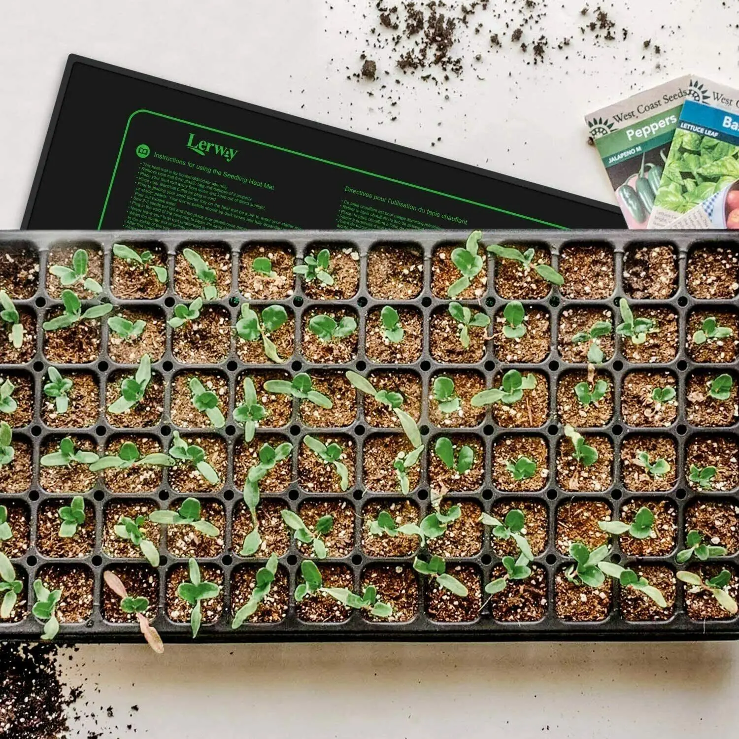 Planting heating mat temperature controller indoor for seeding germination home brewing glass container heating waterproof mat