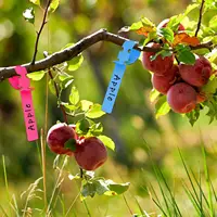 100pcs Waterproof Plant Markers Reusable Plastic Wrap Around Tree Tag Nursery Plant Markers Gardening Tools 2