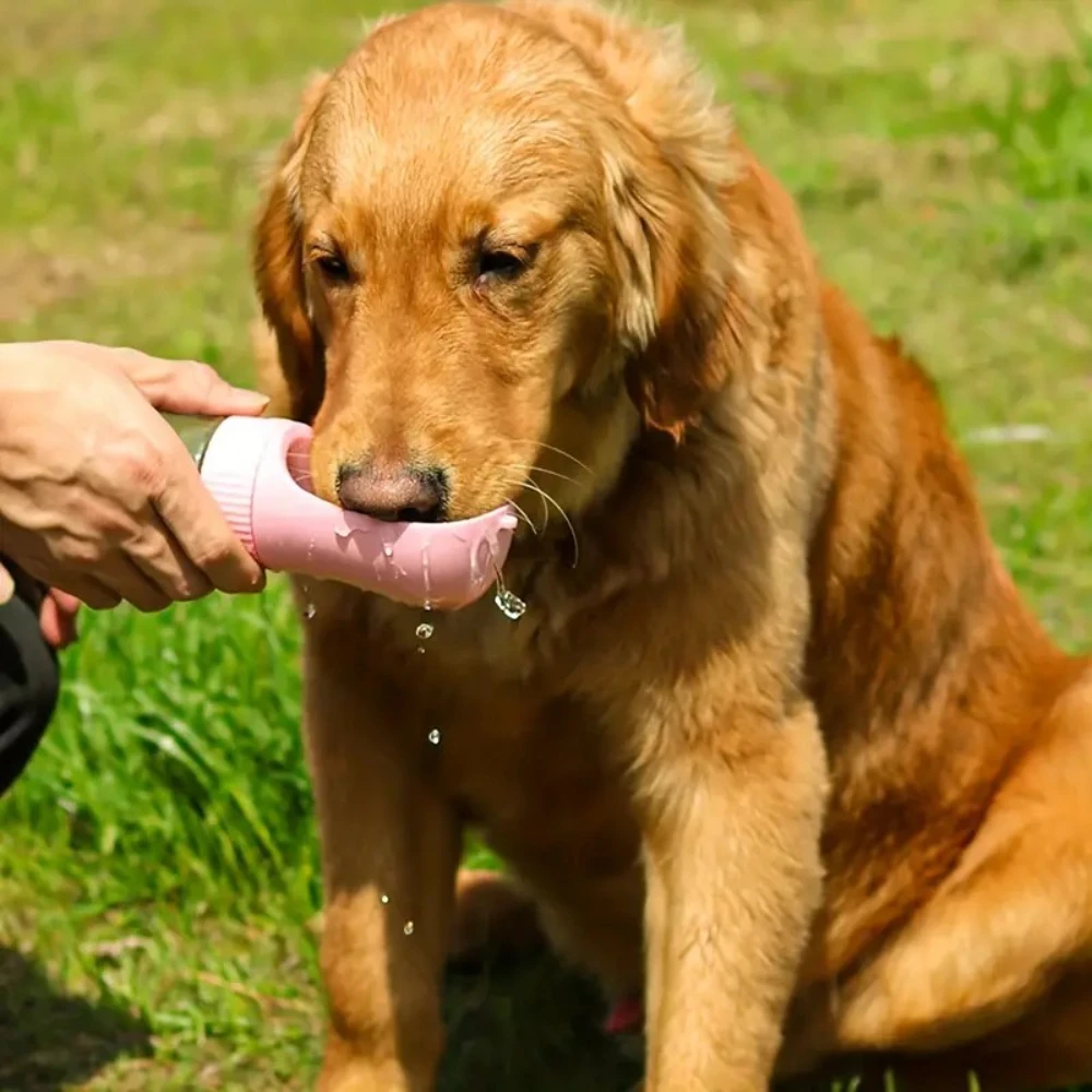Pet Feeding Cup 3