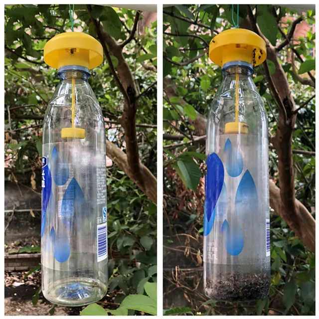1 Db Wasp Trap Crap Fruit Fly Legyek Rovarhibás Lógó Méz-Csapda Fogó Gyilkos No-Poison Függő Fa Kártevőirtó Szerszám - Image 3