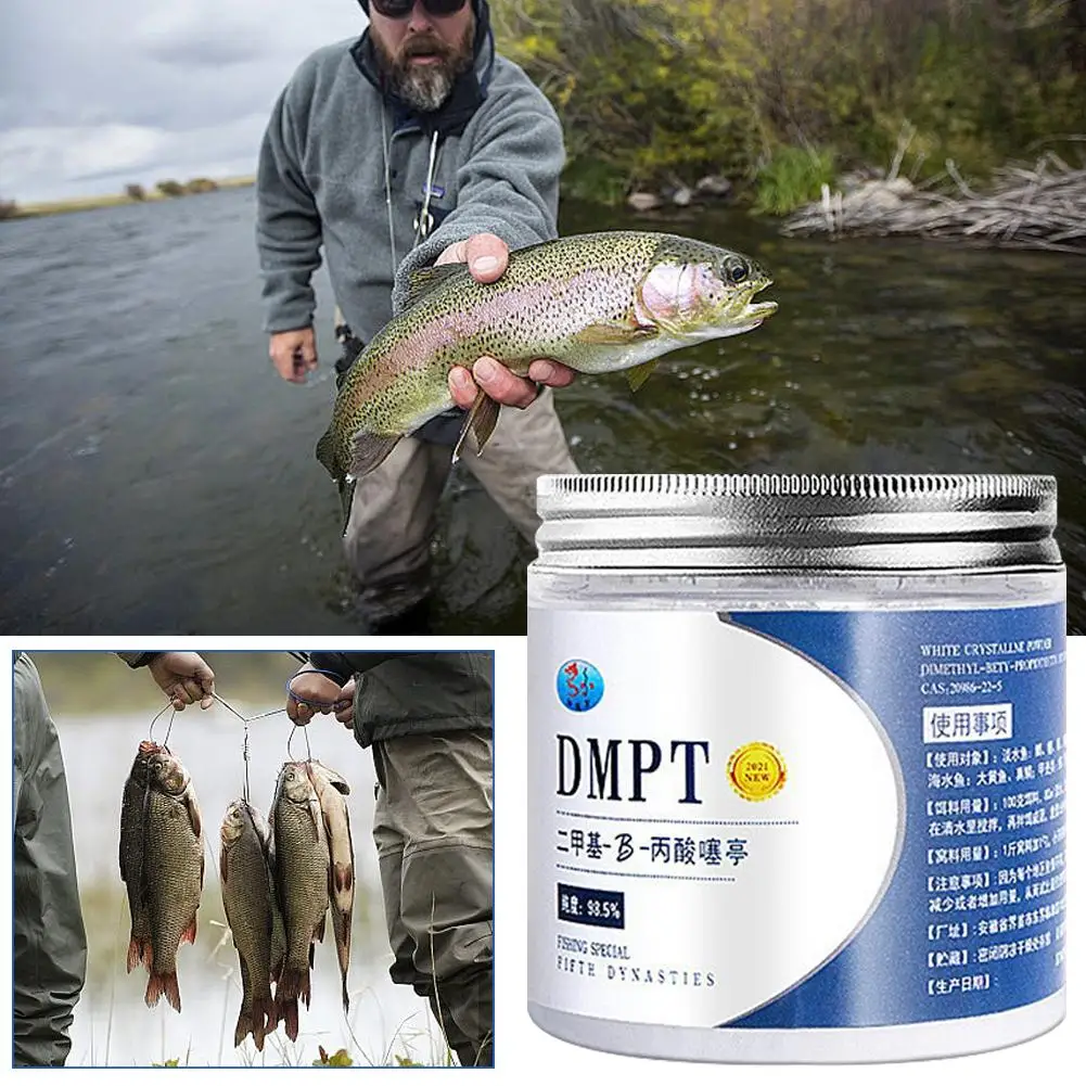

50g DMPT Carp Fishing Additive Powder Carp Fishing Promote Appetite Fish Attractant Additive Outdoor Equipment Fishing Fish A5Q8