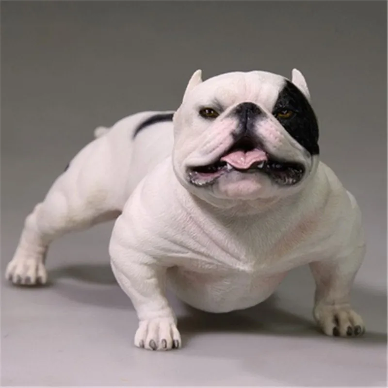 JXK 1/6 Mini Bully Dog Model Animal American Bully Pitbull Toy Collector  Decor