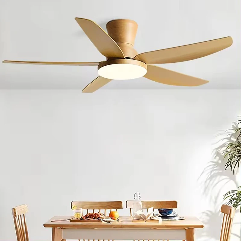 5 ABS Blade Pure Copper DC Motor Ceiling Fan with Light 42 Inch Fan Support Remote Control Ceiling Light with 220V 110V