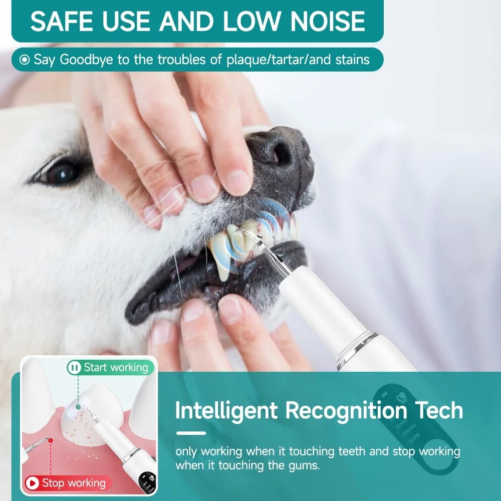 Dog Tooth Calculus Device Ultrasonic Toothbrush Electric Pet Tooth Scaler Cleaning Tool Plaque Dog Cat Dental Care Kit