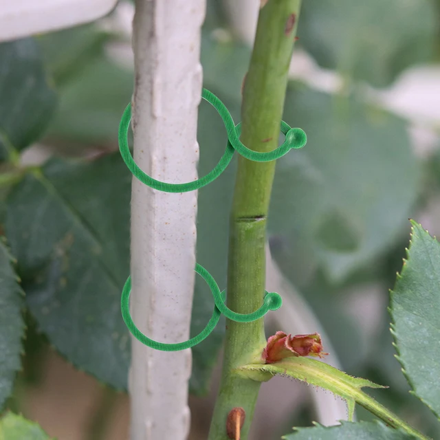 Növényi Fal Hegymászó Szőlőcsipeszek - Image 4