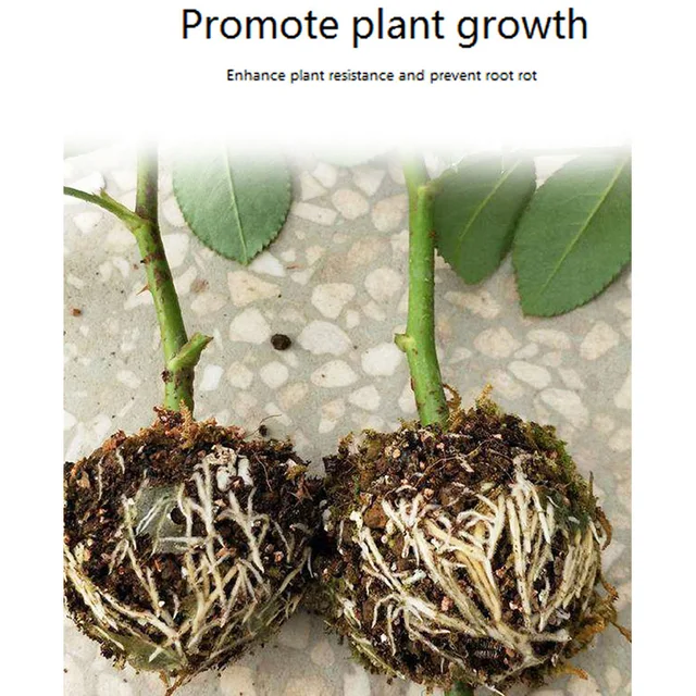 10/20 db (5/8/12 Cm) Oltás Gyökerező Növekvő Doboz Gyökérgyökérgömb Tenyésztési Tok Növény Gyökérgyűjtő Kerti Graft Szerszámokhoz - Image 6