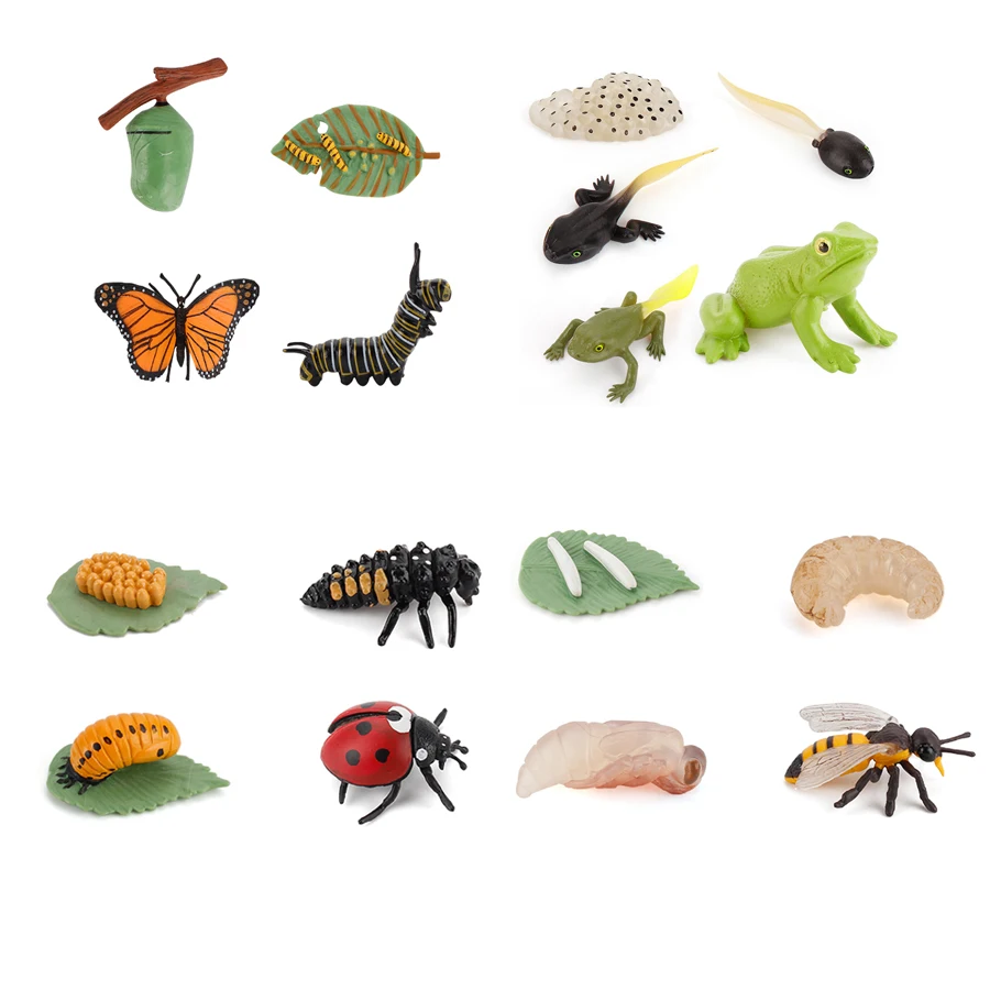 

Simulation PVC Animals Growth Cycle Ladybug Honeybee Life Figurine Frog Models Action Bee Insect Figures Educational Toy For Kid