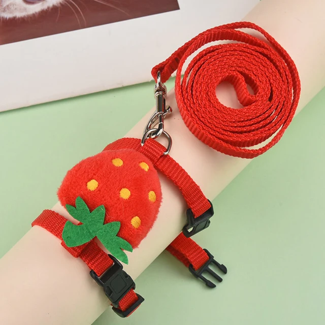 Rabbit Cat Harness and Leash Set Adjustable Pet Lead Leash for Small Animals Ferrets Piggies Hedgehogs Outdoor Walking 6
