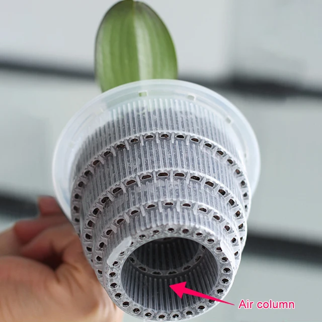 Beltéri Virág Orchidea Háló Edény Átlátszó Gyökérvezérlő Műanyag Konténer Ültetvény Virágpot Otthoni Kertészeti Dekoráció - Image 5