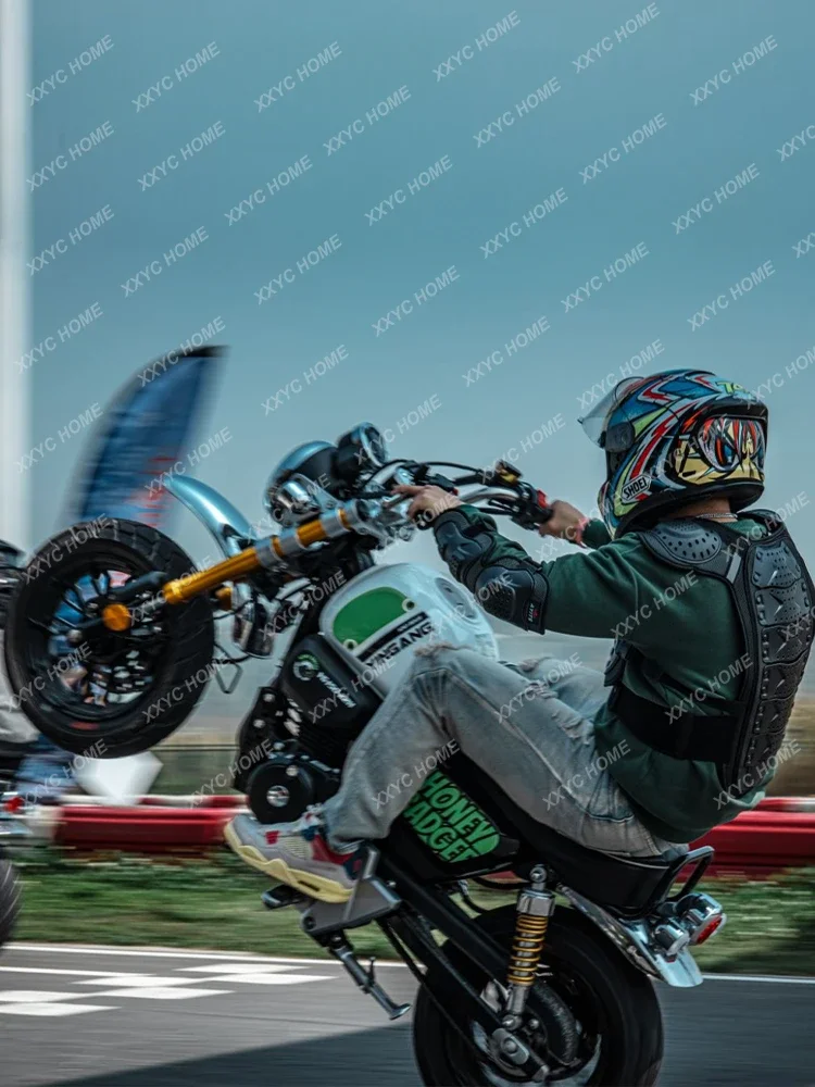 Рисунок 2 - Мини мотоцикл медовый Барсук мини