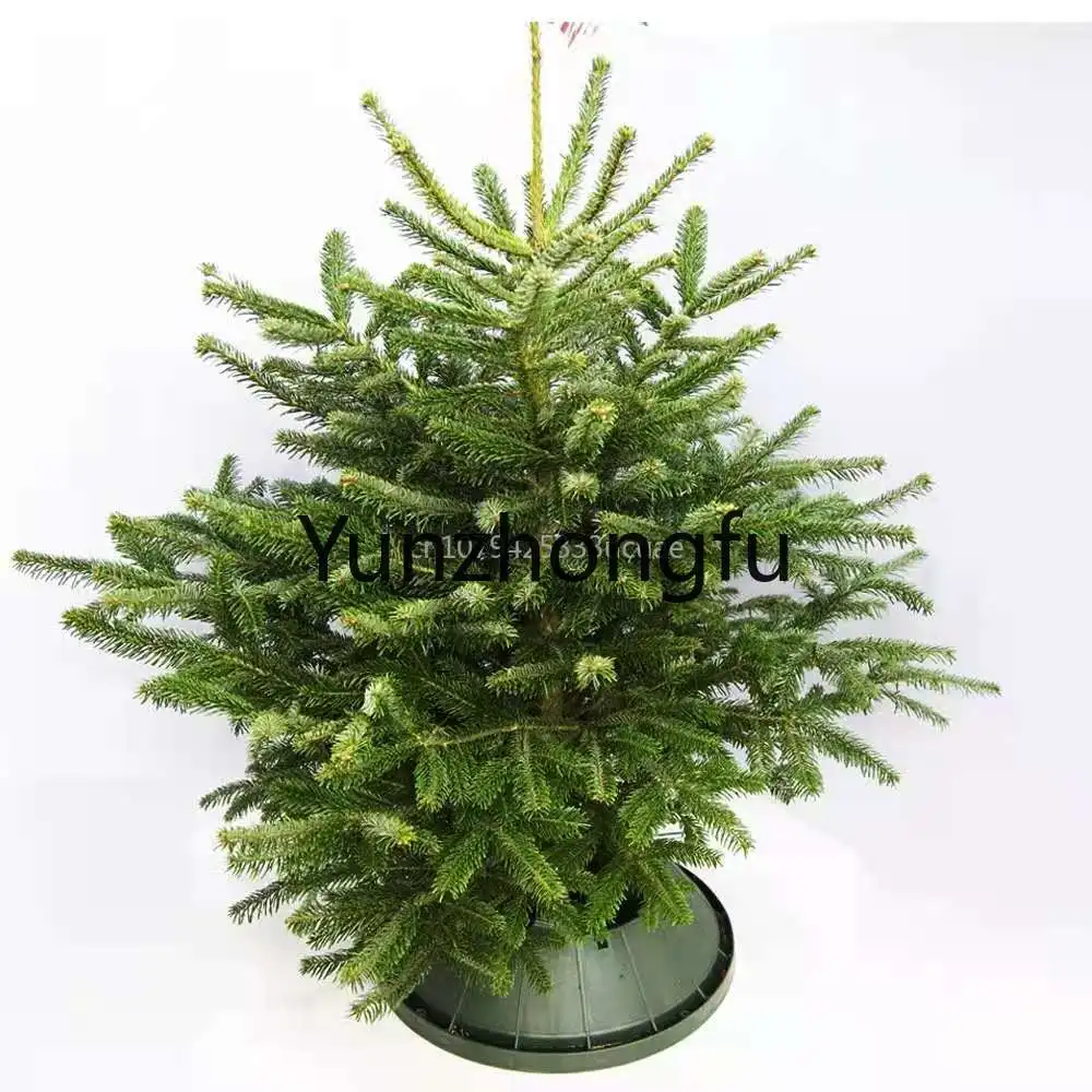 

2023 New Design 5.9 5.11 Inch Trunk Christmas Tree Stand Base for christmas with Screw Fastener