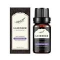 LAVEBDER