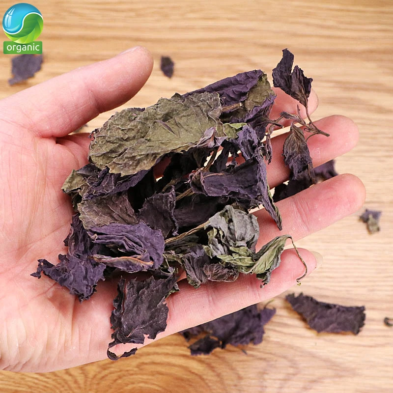Dried Perilla,Shiso;Perilla Leaf;Basil;basil Leaves;Perilla Leaves,Folia Perillae Acutae Dry Herb Folium Perillae Zi Su Ye
