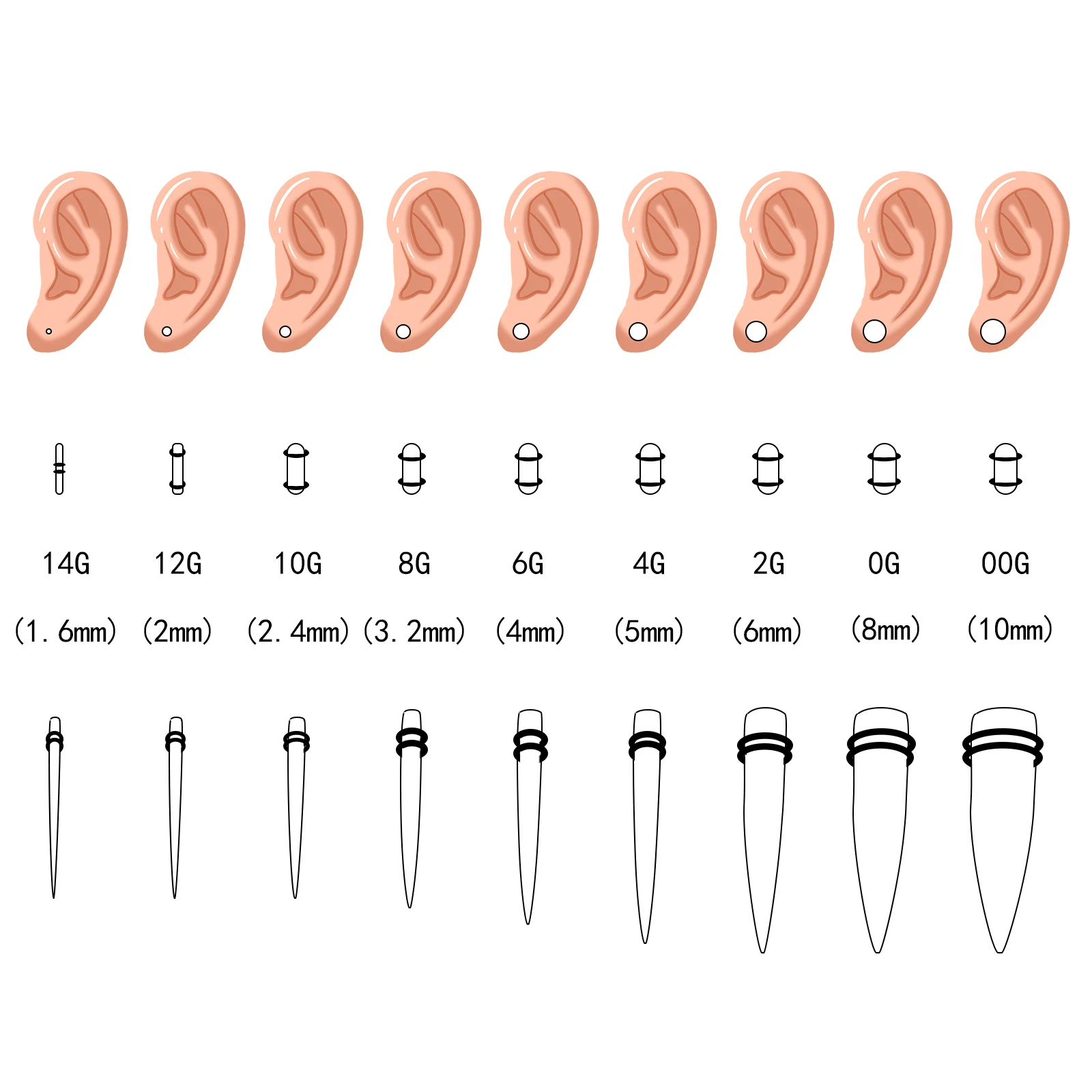 Ear Gauge Chart Actual Size safewindows.co.uk