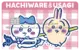 Thumbnail 13