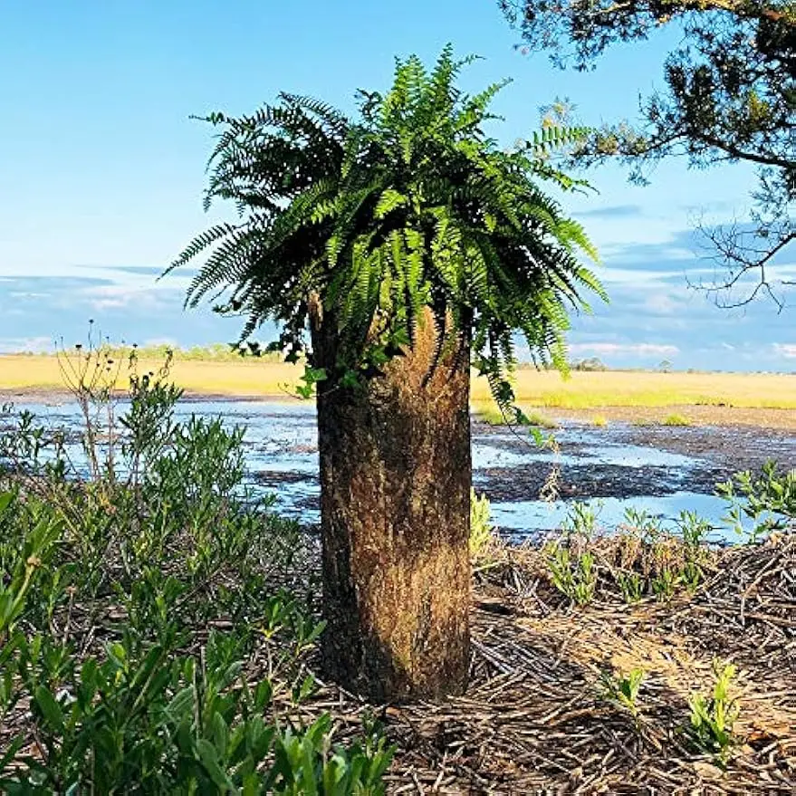 Outdoor Garden, Yard & Porch Pot. Tall Tree Stump Well Pump Cover. Weatherproof, Rustic, Natural Looking Deck & Patio Decor