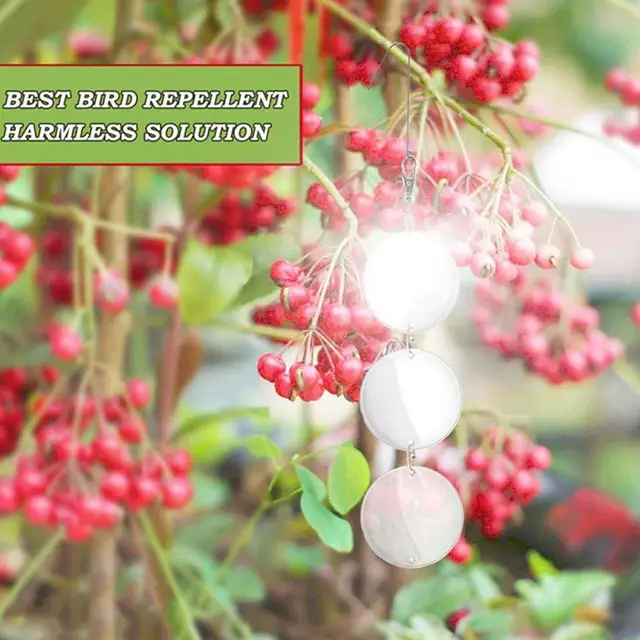 1Dc/8Db Hasznos Újrafelhasználható Állati Visszataszító Vizuális Hatás Multifunkcionális Extra Fényes Fényvisszaverő Madártaszító Lemezek - Image 4