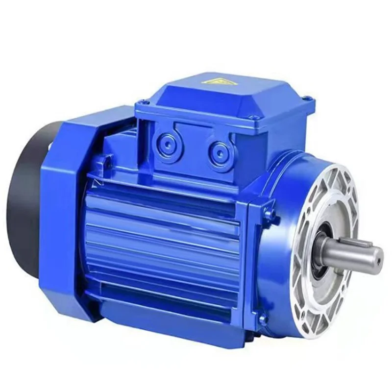 

AC asynchronous motor ron case motor