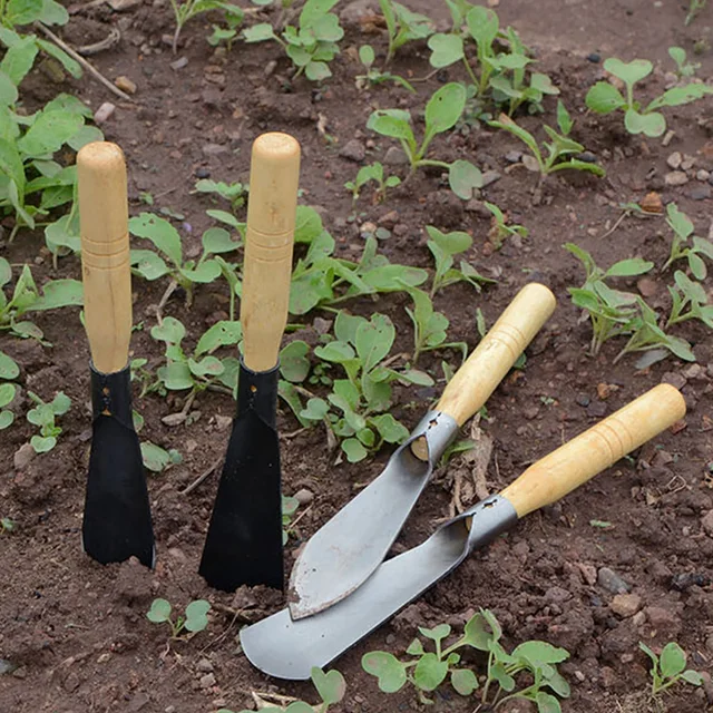 Mini Kerti Szerszámok Készlet Kis Lapáttal Fa Fogantyú Fémfej Rozsdamentes Acél Vaskerti Irodai És Családi Kertészethez - Image 2