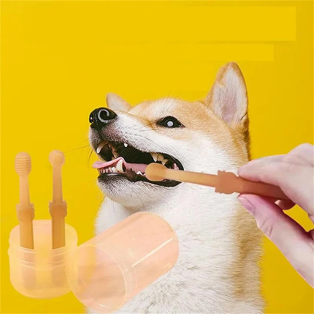 Silicone Soft Pet Toothbrush for Teeth Whitening 2