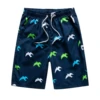 Men's Beach Shorts 3D Printed Summer Surfing Board Shorts Hawaii Shorts Men Women Swim Pants 2