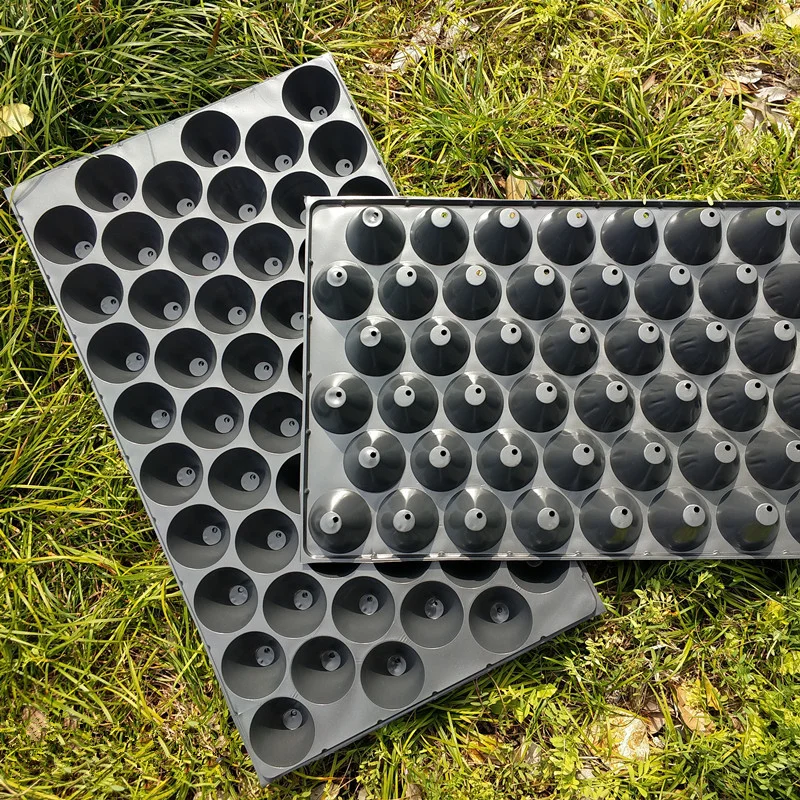 Plant Nursery Tray 48 or 54 Holes Plastic Planting Nurture Box Garden Flowers Fruit And Vegetable Transplanting Supplies Tools 3
