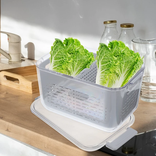 Drained Vegetable Basket Containers Lettuce Crisper Fridge Fruit Lunch The  Pet Salad Keeper Refrigerator Berry Storage - AliExpress