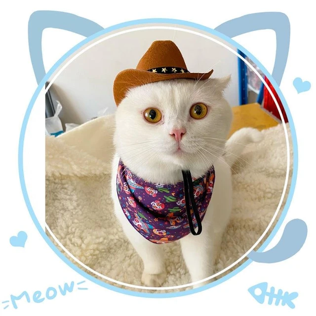 Animali domestici alla moda gatto cappello da Cowboy cappelli a stella per  gatti cani morbidi cappellini regolabili feste di strada servizi  fotografici puntelli universali abbigliamento - AliExpress