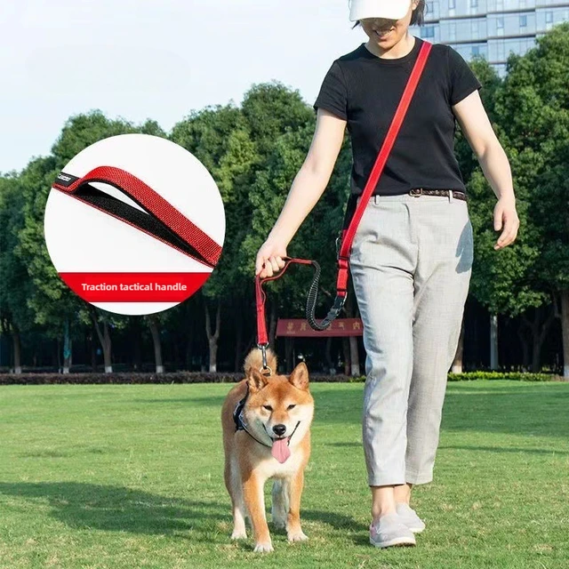 Hands Free Dog Leash for Walking Running with Safety Car Seat Belt Shock Absorbing Bungee Leash with Padded Handle 2