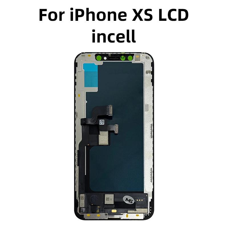 XS-Incell