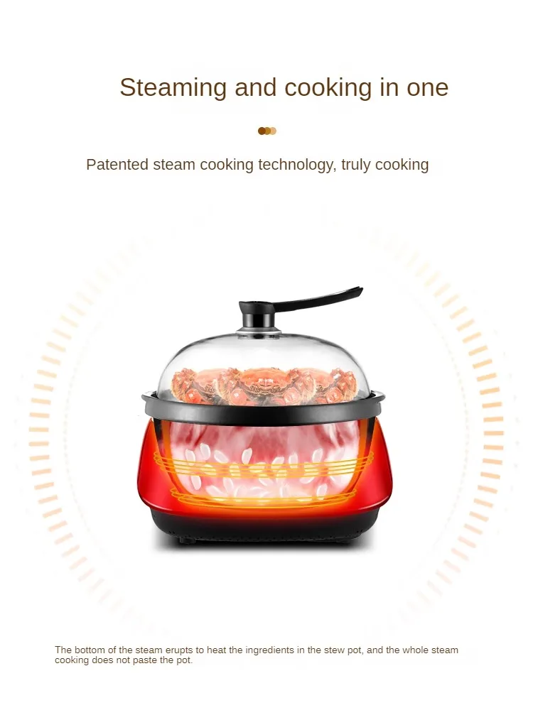 220V Multifunctional Electric Food Steamer for Seafood, Vegetables, and Dumplings Multi Cooker