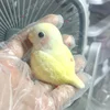 New Cute Parrot Flocking Handmade Silicone Fidget Fingertip Toy Kawaii Color Plush Bird Birthday Gift For Kids Squishy Pendant 4