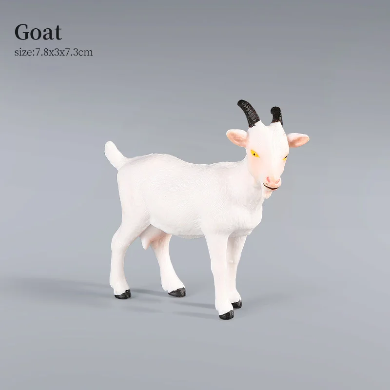 Animal-10