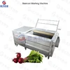 Automatic root vegetable roller brush cleaner ginger carrot radish sweet potato ginger washing cleaning and peeling machine 1
