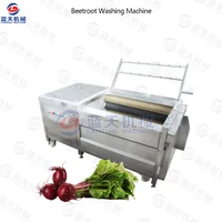 Automatic root vegetable roller brush cleaner ginger carrot radish sweet potato ginger washing cleaning and peeling machine 1