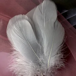 Natural Goose and Swan Feathers for Home Decor and Crafts - 100 Pieces (Gray)
