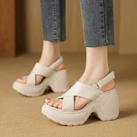 Nouvelles Sandales à Talons Hauts pour Femmes, Chaussures à Plateforme Tendance, Élégantes, Confortables pour la Marche, Escarpins, Chaussures Habillées, Nouveauté Mujer Zapatillas 2