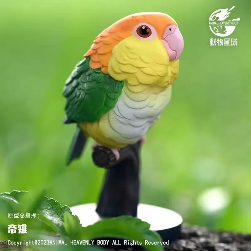 

New Animal Blind Box L Augh And Grow Fat Series No.18 Parrot Model Psittaciformes Animal Gk Decora Collection Birthday Toy Gift
