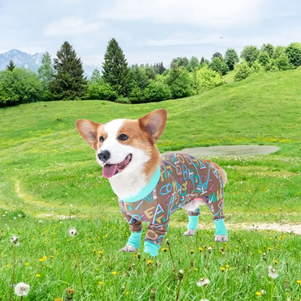 Dog Recovery Suit After Surgery Soft Long Sleeve Dog Neuter Shirt Cone  Alternatives Prevent Licking Pets Bodysuit Onesie - AliExpress