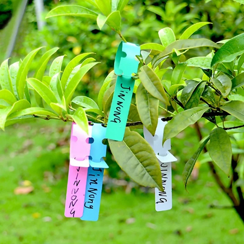 A27R-Waterproof Ring Label Plant Label Gardening Orchid