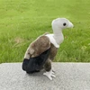 Vulture High Fidelity Anime Condor Bald Eagle Plushie Buzzard Plush Toys Lifelike Animals Simulation Stuffed Doll Kawai Toy Gift 5