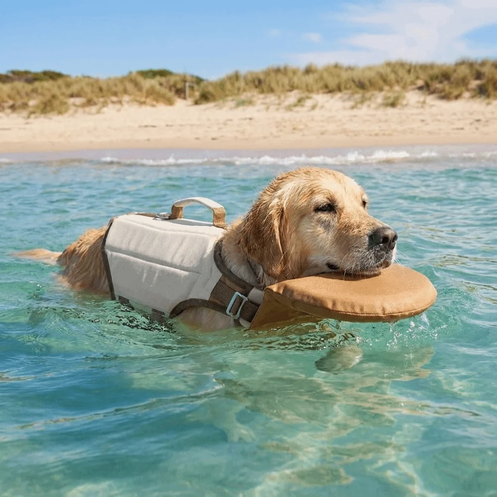 Gilet de sauvetage flottant réglable pour chien