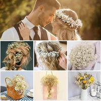 100g Natural Dried Gypsophila Flower Baby Breath Bouquets Floral Gypsophila Branches for Home Decor Wedding Garland Decoration 4