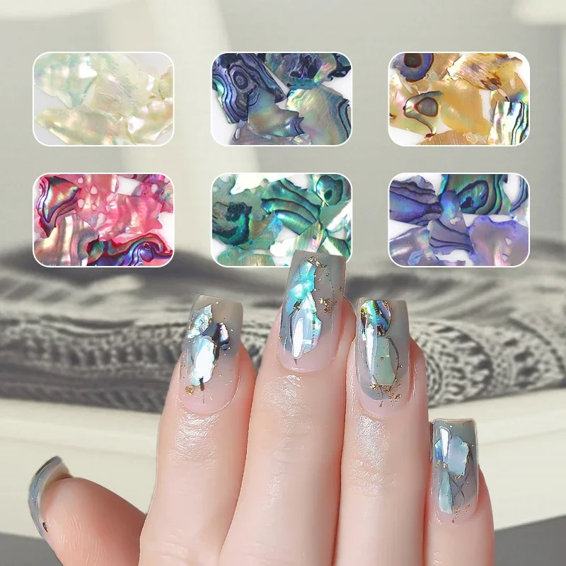 12 Gitter, natürlicher Abalone-Muschelstein, Nagelkunst-Dekoration, 3D, unregelmäßige Scheibenfragmente, Flocken, Nagel-Charms, Maniküre-Zubehör – Detail 4