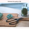 1PC，Professional Grade Root Pruning Scissors Stainless Steel Bonsai Tools Garden Leaf Flowers Household Scissors Hand Scissors 6