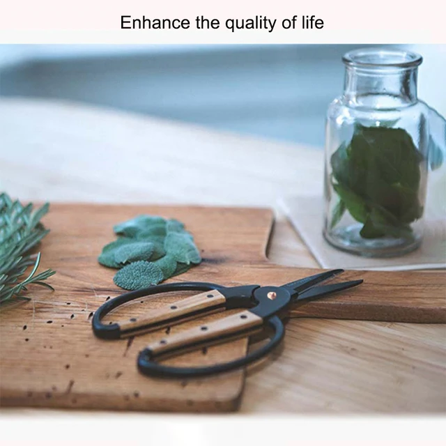 1PC，Professional Grade Root Pruning Scissors Stainless Steel Bonsai Tools Garden Leaf Flowers Household Scissors Hand Scissors 6