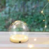 Glowing Wooden Base Eternal Flower Glass Dome Display Case Transparent Dustproof Cover Home Decor Vases Fine Workmanship 3