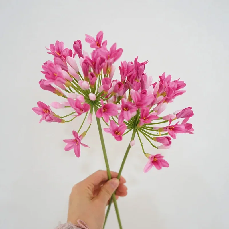 ジプソフィア gypsohila Flower Long Tee