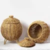 Hand-woven Oval Pumpkin Basket Desktop Sundries Storage Jar Lid Imitation Rattan Retro Storage Wicker Basket Plant Flower Basket 1